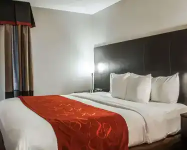 Comfort Suites Airport Nashville - 62