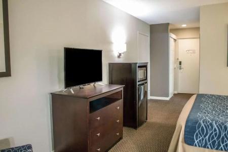 Comfort Inn - 32