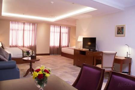 Premium Ulaanbaatar - 40
