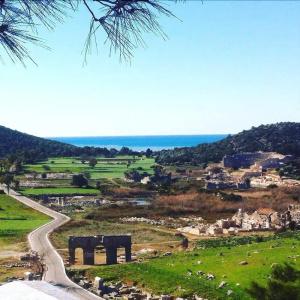 Rose Pension - 35