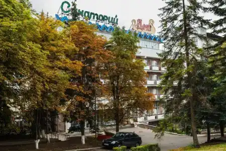 Дон - 1