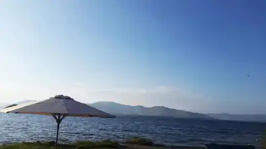 Лаваш - 16