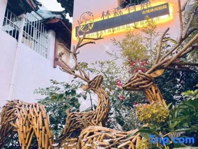 Yonsamity Chain Inn Yunqing Branch - 43