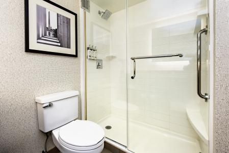 Holiday Inn Washington Capitol-National Mall, An Ihg - 47