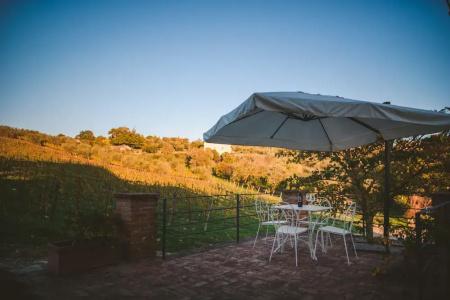 Fattoria Di Corsignano - 37