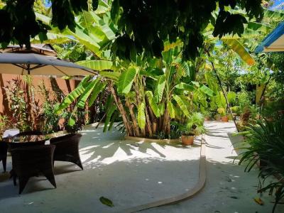Island Vista Inn - 12