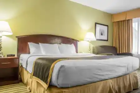 Quality Inn - 39