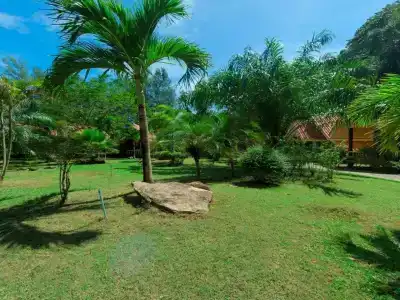 Rim Khao Resort - 175