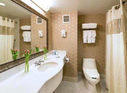 Hampton Inn & Suites Boston Crosstown Center - 32