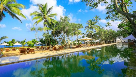 Pandanus Beach Resort & Spa - 42