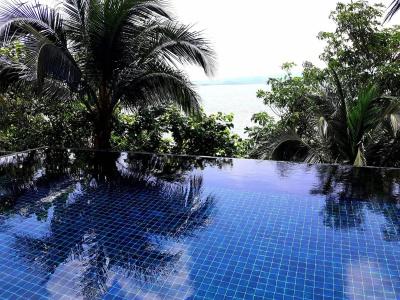 Blue Hill Beach Resort by Le Palais - 13