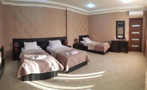 New Telavi - 36