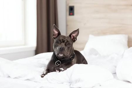 ArenaHotellet i Uppsala - 37