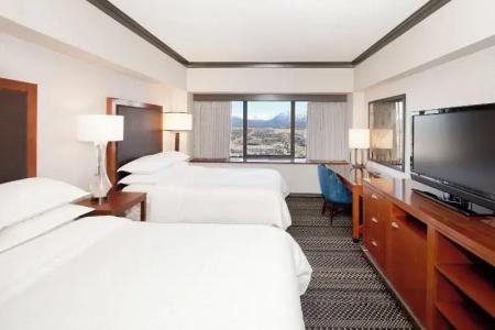 Sheraton Anchorage & Spa - 75