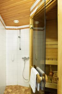 Laplands Riekonlinna - 62