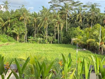 Dupa Ubud Villa - 25