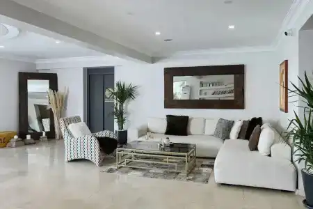Didi - 21