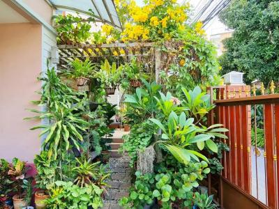 Bed and Terrace Guesthouse Chiang Mai - 78