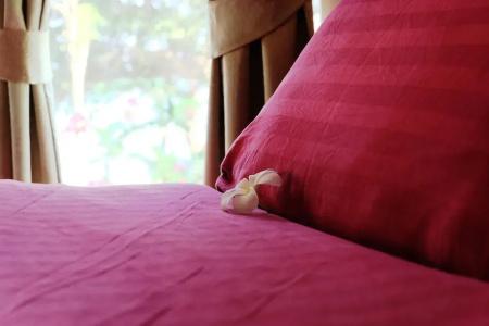 Nimmanoradee Resort - Sha Plus Certified - 39