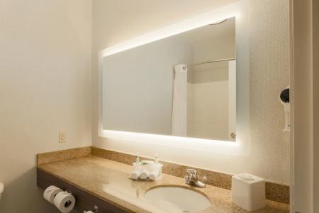 Holiday Inn Express Las Vegas South, An Ihg - 71