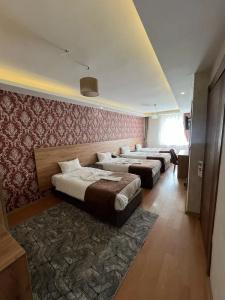 Van Diana Otel - 37