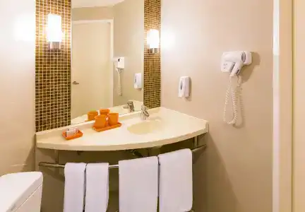 ibis Siam - 8