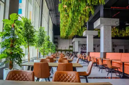 Best Western Plus Dubai Academic City - 5