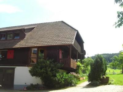 Mattenhof - 37
