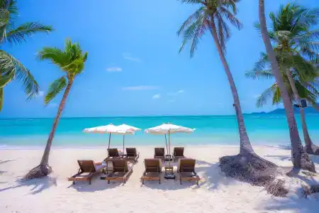 Chaweng Regent Beach Resort - Sha Extra Plus - 5