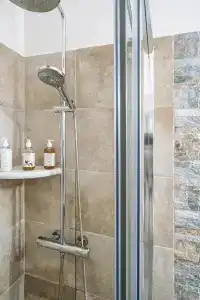 Iris - 123