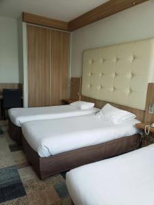 Kyriad Tours Centre - 52