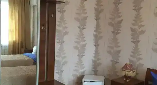 Спутник - 2