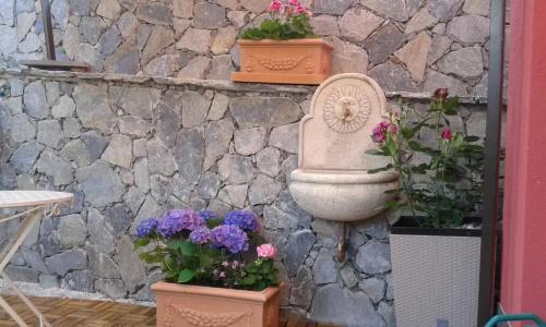 Dreams Guest House - 96