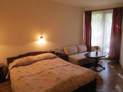 Guest House Mountain Romance & Free Sauna and Steam Bath - 1