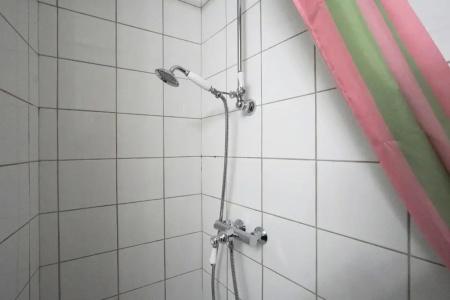 Ours Blanc - Place Victor Hugo - 49