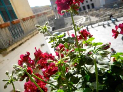 Alvino Suite And Breakfast - 50