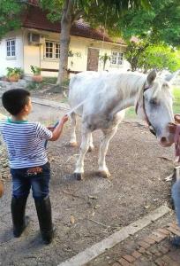 Wanlapa Farmstay - 35