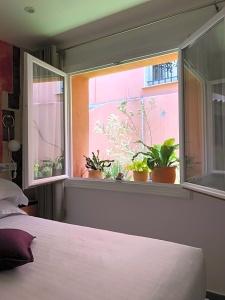 Villa Rose - 46