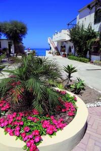 Villaggio Agrumeto - 36