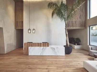 Olea All Suite - 10