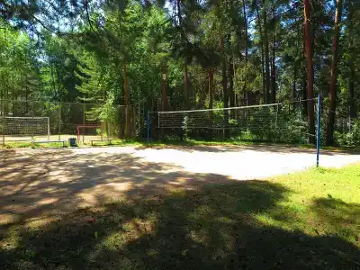 Ельцовка - 7