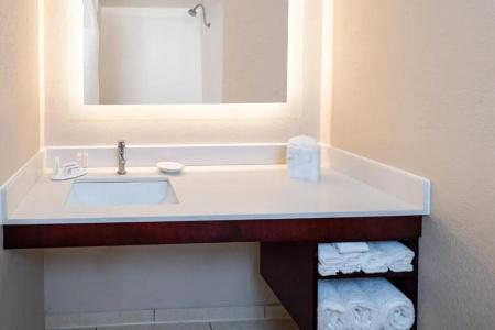 Springhill Suites Houston Medical Center / Nrg Park - 45