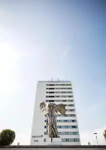 ARCOTEL Nike - 0