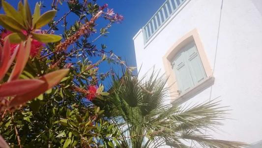 Amazones Village Suites - 162