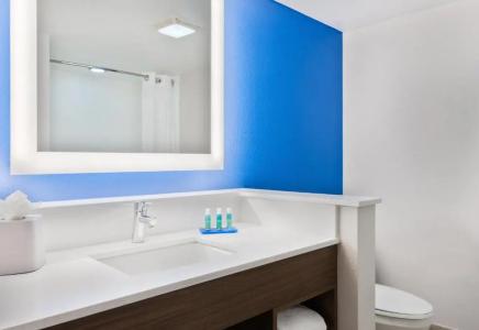 Holiday Inn Express & Suites - Nearest Universal Orlando, an IHG - 78