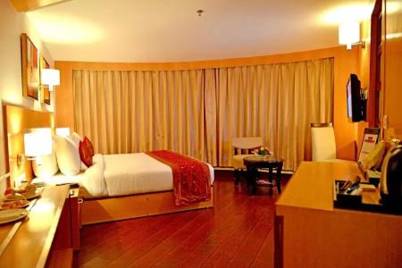 The Theme, Jaipur - 29