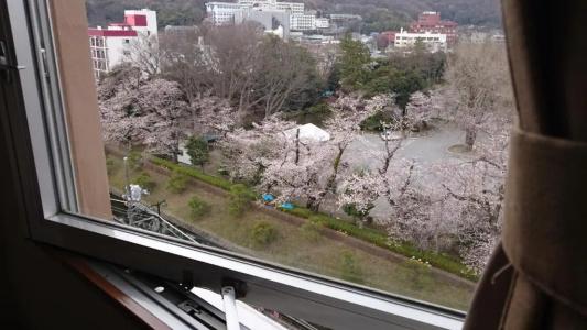 Wakasa - 7
