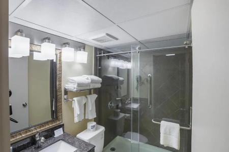 Quality Inn & Suites Downtown - 62