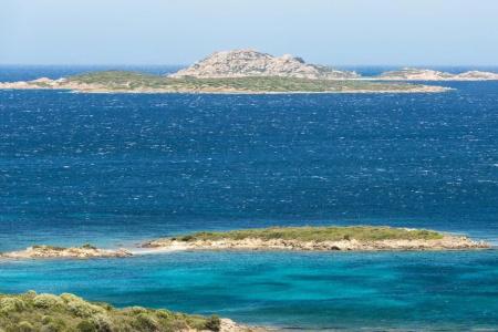 Pulicinu - 20