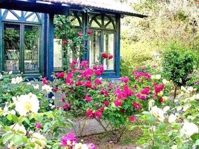 La Gallina Felice b&b - 8